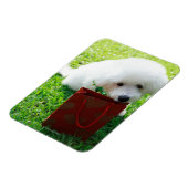Singapur 7 magnet (Linke Seite)