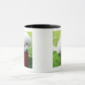 Singapur 7 tasse (Zentrum)