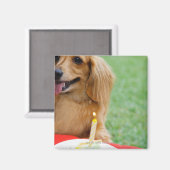 Singapur 8 magnet (Vorderseite/Rückseite)