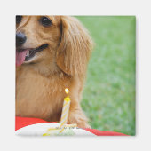 Singapur 8 magnet (Vorne)