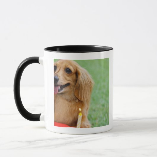 Singapur 8 tasse (Links)