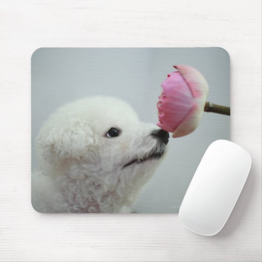 Singapur 9 mousepad (Mit Mouse)