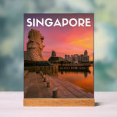 Singapur Acrylschild (Neutral)