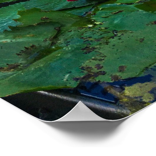 Singapur ArtScience Museum Lotus Pond Poster (Ecke)