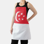 Singapur-Flagge Schürze (InSitu)