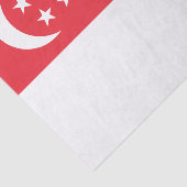 Singapur-Flagge Seidenpapier (Ausschnitt)