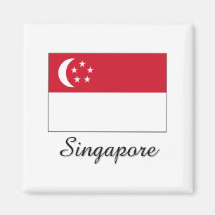 Singapur-Flaggen-Entwurf Magnet