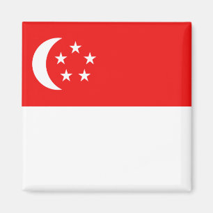 Singapur-Flaggen-Magnet Magnet