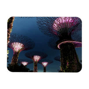 Singapur Gardens by Bay #1 Magnet