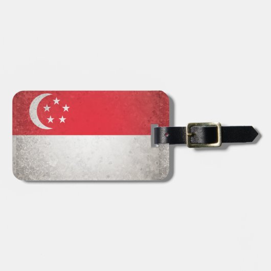 Singapur Gepäckanhänger (Vorderseite horizontal)