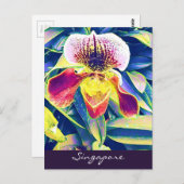 Singapur Orchid reist nach Südostasien Postkarte (Vorne/Hinten)