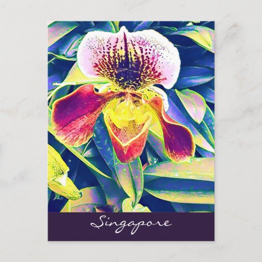 Singapur Orchid reist nach Südostasien Postkarte (Vorderseite)