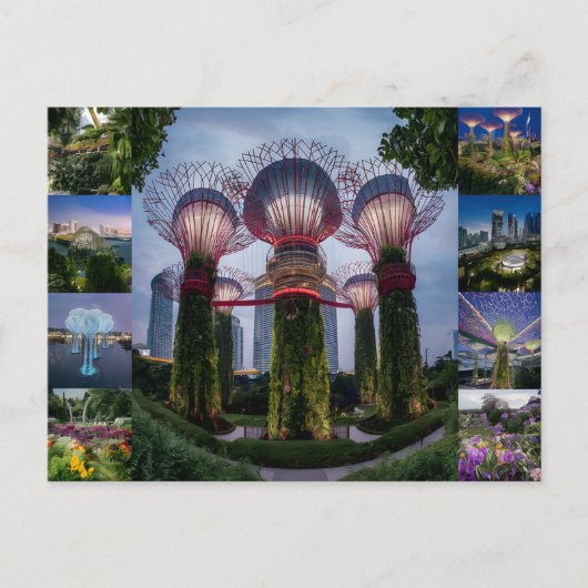 Singapur reist Superbäume. Postkarte (Vorderseite)