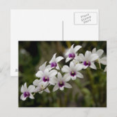 Singapur (Sanskrit for Lion City). National 2 Postkarte (Vorne/Hinten)