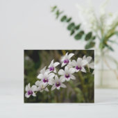 Singapur (Sanskrit for Lion City). National 2 Postkarte (Stehend Vorderseite)