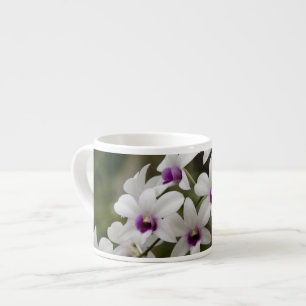 Singapur (Sanskrit for Lion City). Nationalität 2 Espressotasse