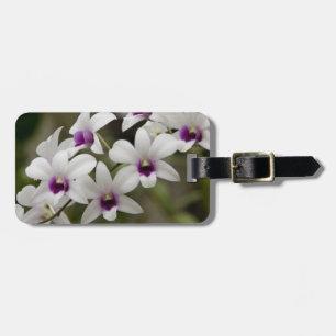 Singapur (Sanskrit for Lion City). Nationalität 2 Gepäckanhänger