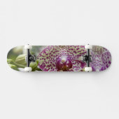 Singapur (Sanskrit for Lion City). Nationalstaat Skateboard (Horizontal)