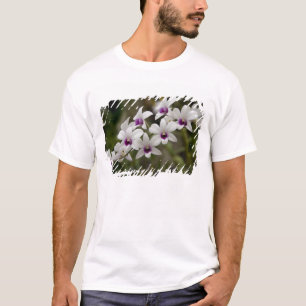 Singapur (Sanskrit für Löwenstadt). National 2 T-Shirt