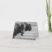 SINGBUFFALO ***GLÜCKLICHER BIRTHAG*** KARTE (Vorderseite)