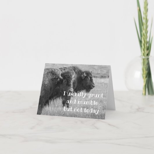 SINGBUFFALO ***GLÜCKLICHER BIRTHAG*** KARTE (Vorderseite)