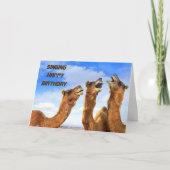 SINGCAMELS SING **GLÜCKLICHER GEBURTSTAG** KARTE (Vorderseite)