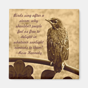 Singen nach dem Sturm Magnet