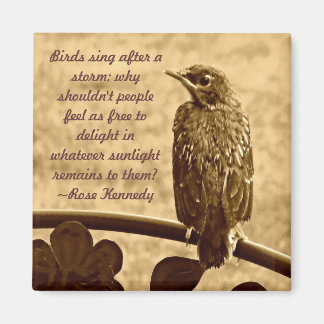 Singen nach dem Sturm Magnet