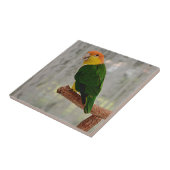 Singen von Weißer Bündner Kaique Fliese (Seite)