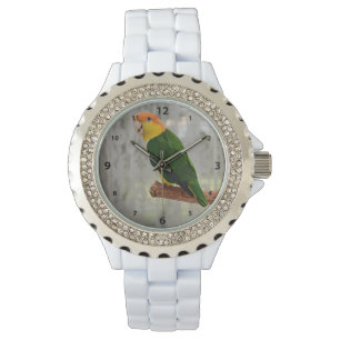 Singen von White Bellied Caique Parrot Armbanduhr