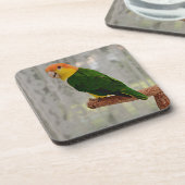 Singen von White Bellied Caique Parrot Getränkeuntersetzer (Linke Seite)