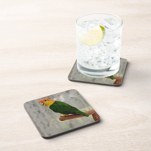 Singen von White Bellied Caique Parrot Getränkeuntersetzer (Rechte Seite)