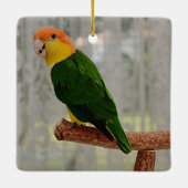 Singen von White Bellied Caique Parrot Keramikornament (Rückseite)