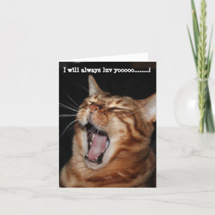 Singende Bengalkatze "Ich werde dich immer lieben" Feiertagskarte