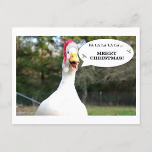 Singente Duck Holiday Card Feiertagspostkarte
