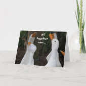 Singenten Foto Funny Birthday Card Karte (Vorderseite)