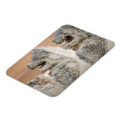 Singhat Wat Thammikarat 2 Magnet (Linke Seite)