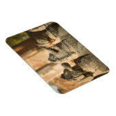 Singhat Wat Thammikarat Magnet (Rechte Seite)
