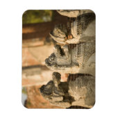 Singhat Wat Thammikarat Magnet (Vertikal)