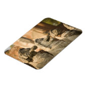 Singhat Wat Thammikarat Magnet (Linke Seite)