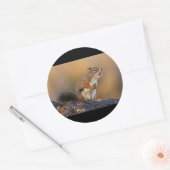 Singhörnchen Runder Aufkleber (Umschlag)