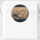 Singhörnchen Runder Aufkleber (Tasche)