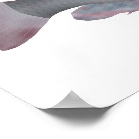 Singida Tilapia Poster (Ecke)