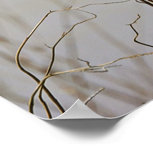 Singing Bird Bible Scripture Poster (Ecke)