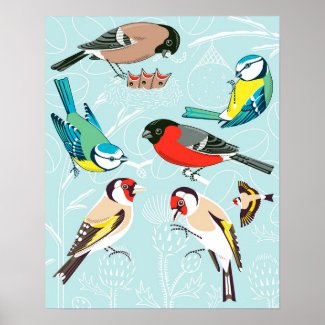 Singing Birds Poster