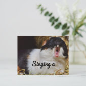 Singing Guinea Pig Postkarte (Stehend Vorderseite)