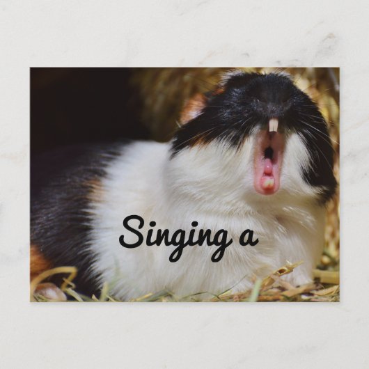 Singing Guinea Pig Postkarte (Vorderseite)