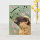 Singing Sheep Happy Birthday Karte (Gelbe Blume)
