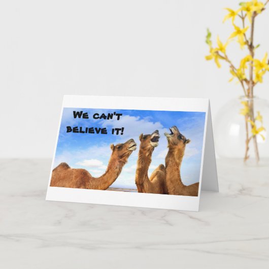 SINGKAMELE, DIE DIE BLUES GUT SIND KARTE (Gelbe Blume)