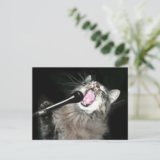 Singkatze Postkarte (Stehend Vorderseite)